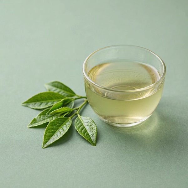 Hojas de té verde